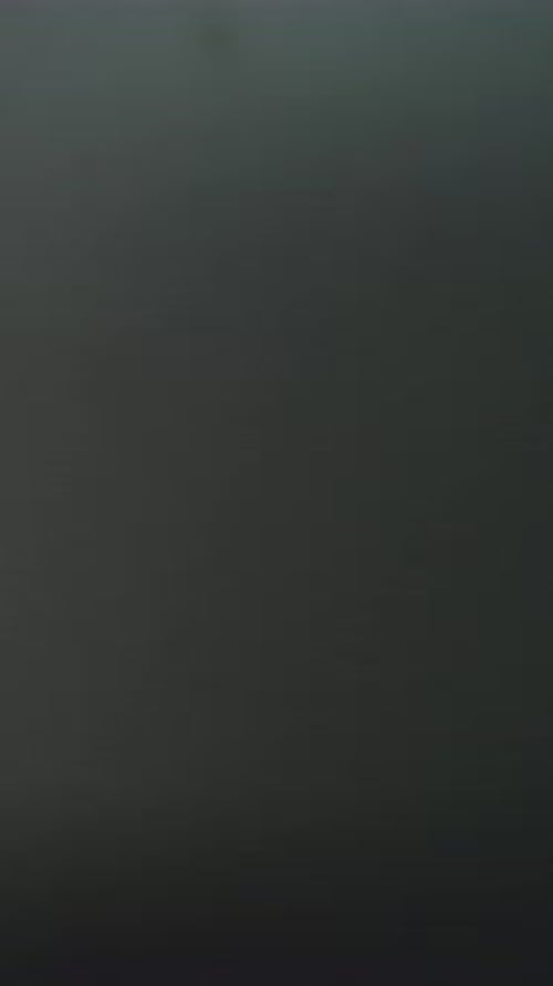 People with Diverse Ethnicity Gender Passing Metal Detector Gates Airport Staff Checking Passengers