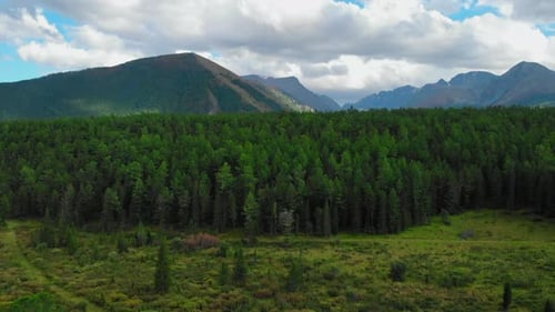 Majestic Mountain Range Looms Over Lush Evergreen Forest Media