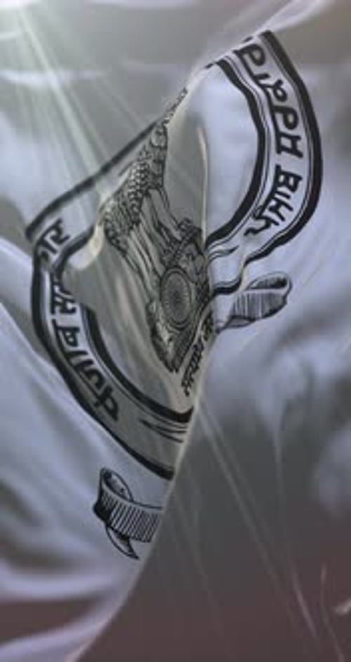 Punjab Government Emblem Flag Waving Vertical Loop