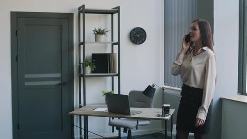 Business Lady in a Business Suit Talking on the Phone in the Office