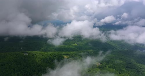 Nature Landscape of Tennessee Appalachian Mountains Mountain Forest with Green Canopies in Summer