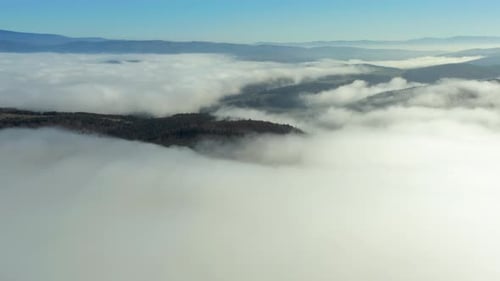 Aerial establishing shot over cloudy forest, flying towards mountain range.