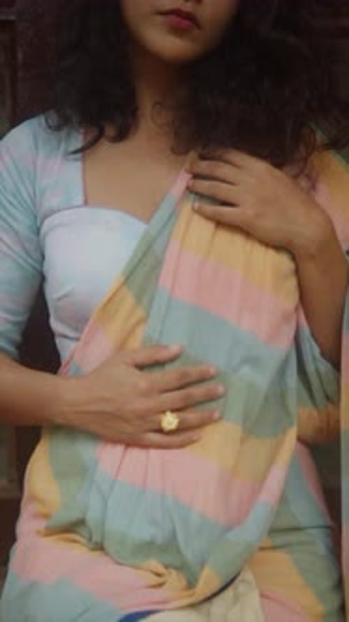 Woman Posing in Colorful Striped Sari Dress