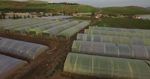 Aerial View of Agricultural Greenhouses in Rural Setting