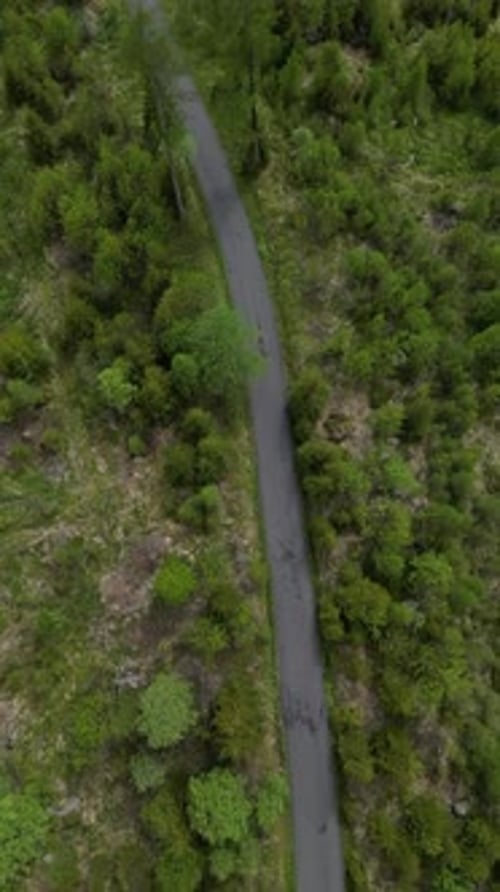 Vidéo aérienne d'un sentier au lac Poprad, parc national des Tatras, Slovaquie