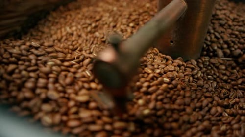 Coffee Beans Roasted in Machine
