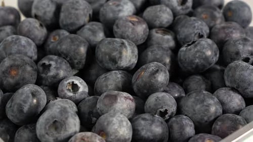 Ripe blueberries rotate on a white background.
