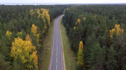 Aerial view of road through the autumn forest.