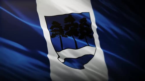 Flag Of Ogre Latvia