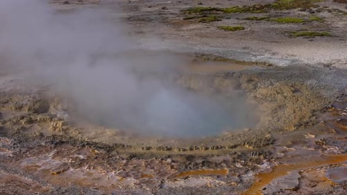 Actively Bubbling Geyser in Yellowstone, Wyoming