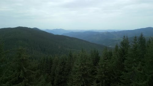Flying Over Green Forest at Cloudy Day with the Mountains on Horizon with Glowing Clouds Carpathian
