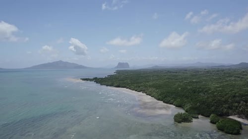 Wild Beach with Palm Trees in the Philippines View From a Drone