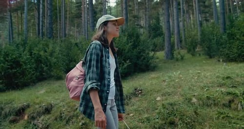 Woman with Backpack Walk in Forest Tourist Path on Vacation Travel and Enjoy