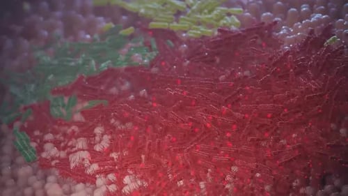 Bacteria cells under microscopic view with vibrant colors