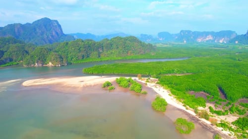 Aerial view over the beach and mangrove forests.
