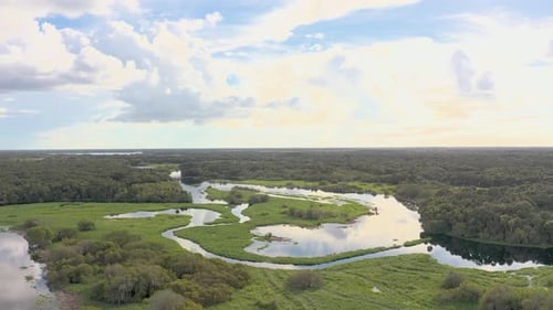 Aerial drone footage captures a winding river meandering through an expansive wetland, reflecting th