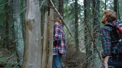 Travelers Trekking Forest In Summer Time. Cheerful Woman And Man Hiking Between Green Trees. Girl...