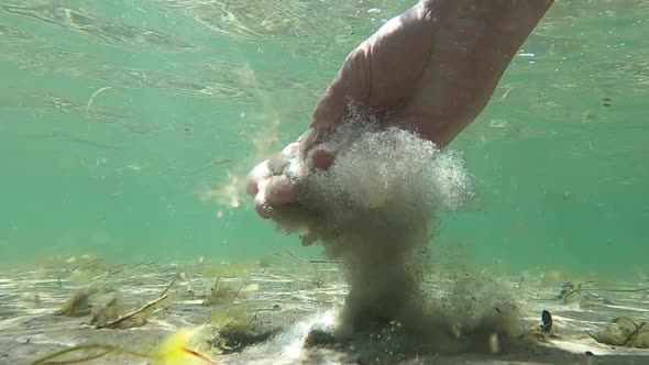 Digging for shellfish bait in the ocean by hand in the shallow water ...