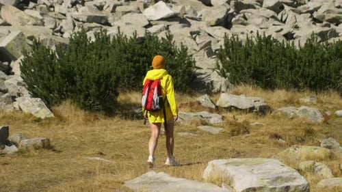 Lone Hiker Exploring Grassy Mountain Landscape
