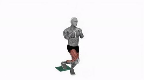 3D Animated Anatomical Figure Demonstrating Lunges Exercise