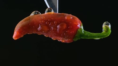 Glistening Red Chili Pepper Suspended on a Knife