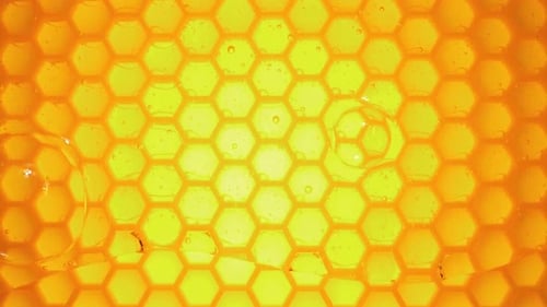 Raw Honey Drips Down