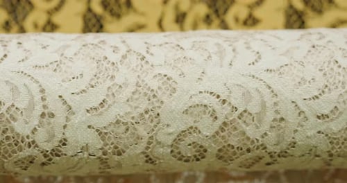 Detailed Floral Lace Fabric Close Up Shot