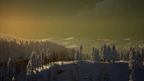 Fog and Snow on Mountain
