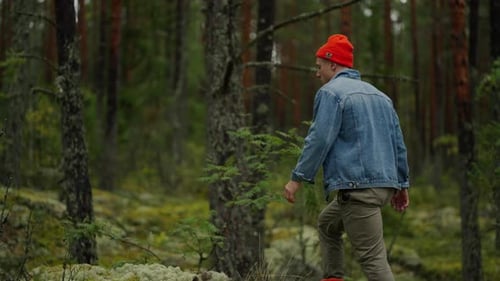 Schöner Mann in Sportkleidung, der alleine im Wald spaziert, Rückansicht eines Wanderers im National Reserve Park