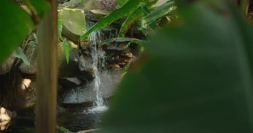 Small waterfall stream in summer green tropical forest. Crystal clear water falls on rocks stones co