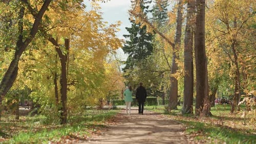 Ruhige ältere Person schlängelt sich durch die Herbstparklandschaft, einsame ältere Figur macht einen gemütlichen Spaziergang