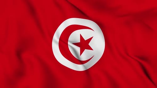 Realistic Waving Flag of Tunisia with Seamless Loop