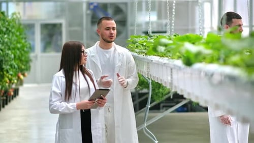 Researchers Examining Plants in Modern Greenhouse