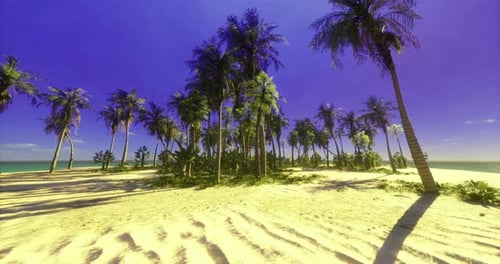Tropical Beach Landscape with Palm Trees Under Vibrant Purple Sky at Sunset