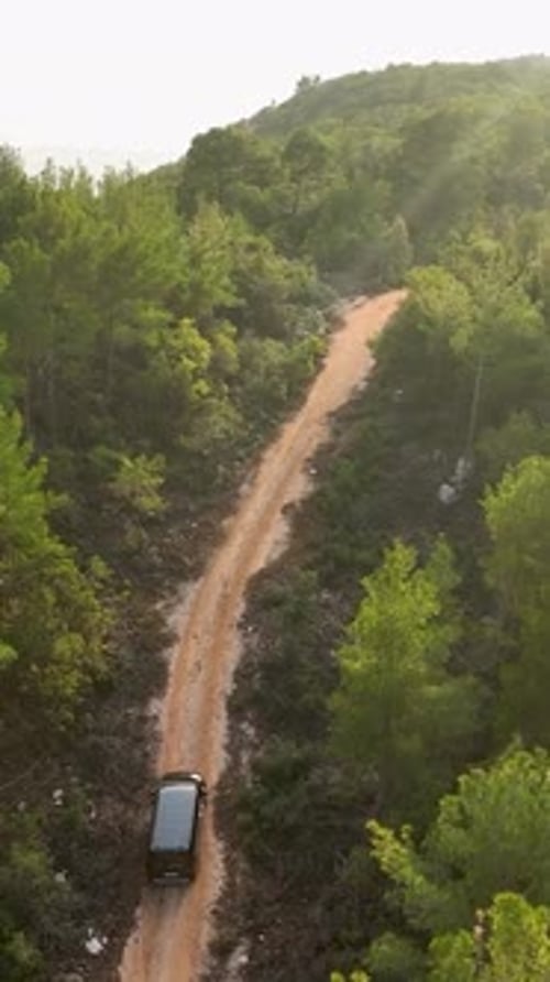 Vertical Video Cinematic Forest Escape Luxurious Car Driving Through the Mystical Green Forest Drone