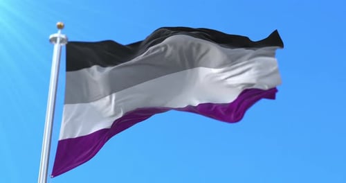 Asexual Pride Flag