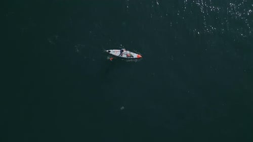 Aerial View of a Man Paddling a Standup Paddleboard or SUP Board on a Calm Sea