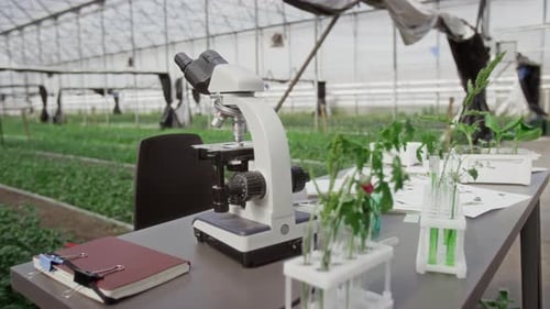 Microscope and Plants in Greenhouse for Science