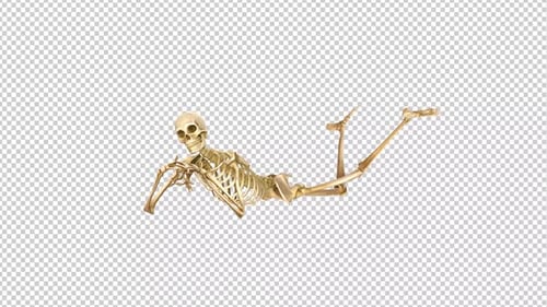 Skeleton Laying Transparent Background