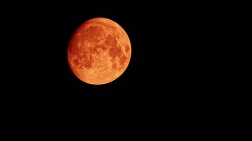 Full Red-Orange Moon Rising in Dark Night Sky