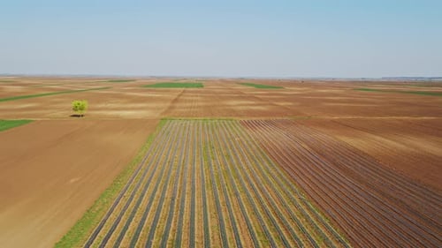 Aerial View of Vast Agricultural Fields and Farmland