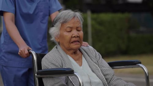 nurse take care and pushing senior woman in wheelchair at the park, friendly caregiver