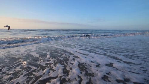 Am
Strand krachen Wellen. Möwen fliegen am Strand über das Meerwasser. Sonnenaufgang am Strand