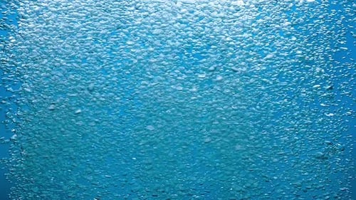 Air Bubbles Rising Through Clear Blue Water