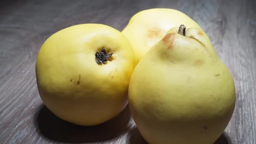 Ripe Yellow Quince Fruit Still Life