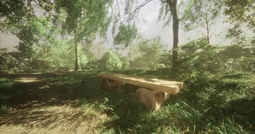 Beautiful Forest Setting with Wooden Benches Surrounded By Lush Greenery