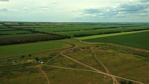 Bird's Eye View of Agricultural Area and Green Wavy Fields in Sunny Day Agronomic Industry Agrarian