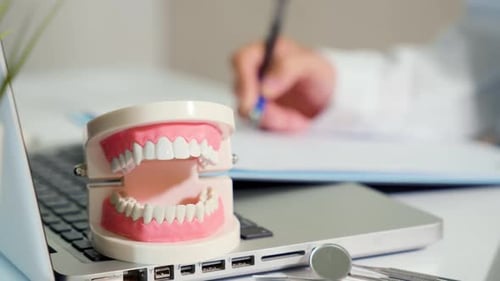 Dental Model on Laptop in Bright Office Setting