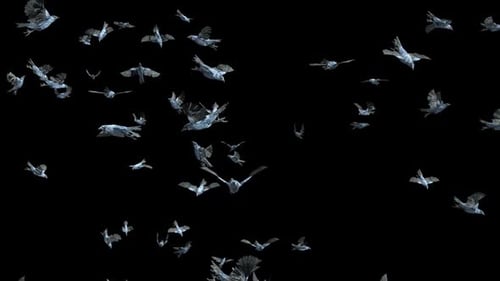 Flock of Realistic Birds Flying