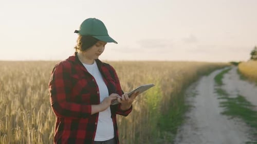 Young Farmer Woman Working with Tablet in Wheat Field at Sunset
